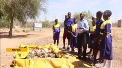 Feeding Pupils in Karamoja: Sasakawa Promotes Nutrition Through School Gardens