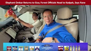 Elephant Omkar Returns to Goa; Forest Officials Head to Kadpak, Says Rane