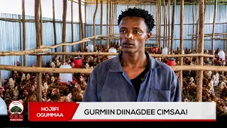 Hojiifi Ogummaa || Gurmiin diinagdee cimaa!