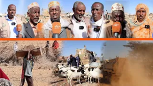 Датская организация по охране здоровья женщин предоставляет экстренную воду людям, пострадавшим о...