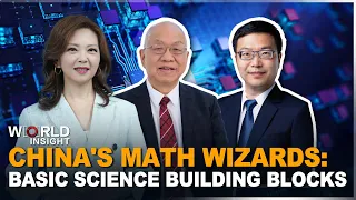 China's math wizards: Building blocks of basic science