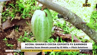 Ghana’s Cocoa Export Earnings Under Threat?