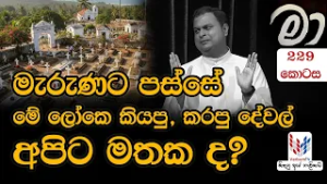 MAA  | 229 | හදුනාගත්තොත් මම මා (EP-229)