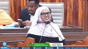 Депутат парламента Аашо Коос: «В измененной конституции говорится, что президент избирается народ...