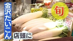 Kanazawa Radish: "Crisp, Juicy, and Dense" Hits Shelves Starting at 100 Yen—A Budget-Saver Amid R...