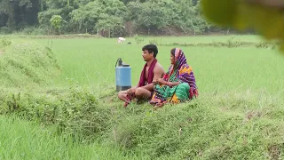 କୃଷି ଦର୍ଶନ | Krushi Darshan | 15 September 2026 | Modern Farming Tips & Farmer Guidance | DD Odia