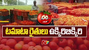 Tomato Price: గిట్టుబాటు ధర లేక టమోటా రైతుల ఆవేదన | Special Report | NTV Telugu