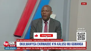 Ssinga obulwadde bwa kalusu bwongera okusaasaana mu Uganda, akatale k’ensi yonna kafa mangu nnyo.