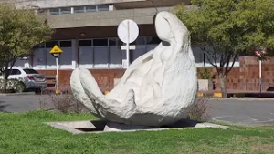 Waldo Vela, Director de Obras de la Intendencia de Río Negro 