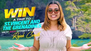 🏁🌴 RACE TO THE TROPICS! 🏎️💨