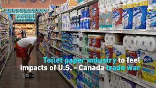 Toilet paper industry to feel impacts of U.S. - Canada trade war