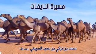 مسيرة النايفات | مالك الإبل / محمد بن تركي بن عميد السبيعي "رحمه الله " فئة كأس النادي صفر