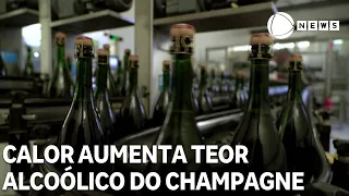 Heat wave increases alcohol content of French champagne