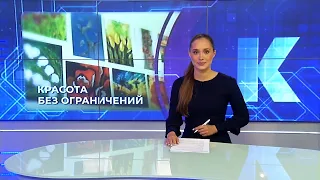 Kaliningrad News: Daily Roundup, July 24, 2026 Kaskad TV