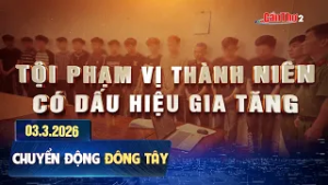 Tội phạm vị thành niên có dấu hiệu gia tăng | Chuyển động Đông Tây 03.3.3036 | Cần Thơ