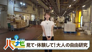 ハマナビ　2026年7月25日放送　見て・体験して！大人の自由研究
