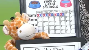 Keeping your Pets' favorite products organized