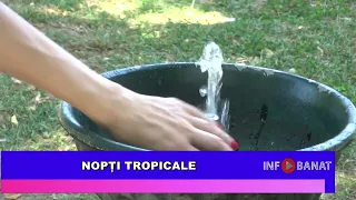 Nopți tropicale