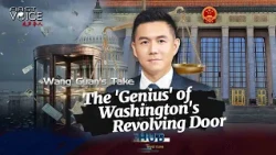 Wang Guan's Take: The 'Genius' of Washington's Revolving Door