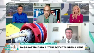Ανεβαίνει ο "υδράργυρος" στο Αιγαίο - Τα θαλάσσια πάρκα "ταράζουν" τα ήρεμα νερά | Ρεπορτάζ στις 10
