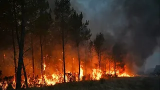 Feuerstürme bedrohen Bordeaux: Landwirte kommen der Feuerwehr zur Hilfe