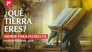 El secreto de la verdadera amistad y el Primer Amor