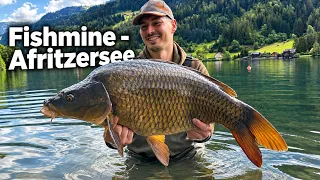 Új tórekord és különleges koi ponty: Fishmine – Afritzersee 1–2. rész