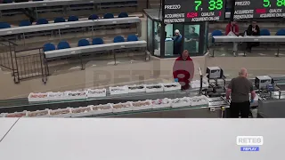 Mercato ittico Pescara - Il trasferimento contestato