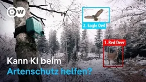 Wie künstliche Intelligenz zum Schutz von Deutschlands Wildtieren eingesetzt wird | DW Nachrichten