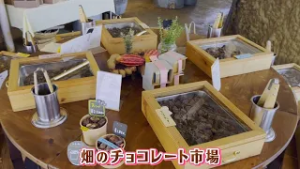 RNC news every.【中四国 旬コレ】香川の魅力を詰めたチョコ　2026/02/06放送