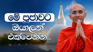 ශ්‍රී ආනන්ද මහා සෑ මළුවේ ගල් පුවරු ඇතිරීමේ පින්කම 🪷🙏