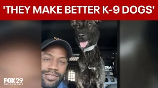 Rescue dogs now K-9s in Burlington County