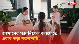 জাপানের ‘অ্যানিমেল ক্যাফেতে’ এবার কড়া নজরদারি! Bijoy TV