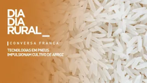 Tecnologias em pneus impulsionam cultivo de arroz