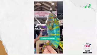 The Snacks | Mañanera 360 | July 28