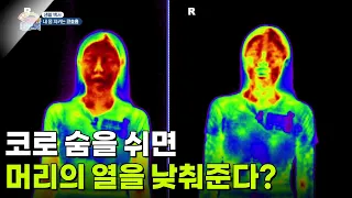 [생활 백서] 코로 숨을 쉬면 머리의 열을 낮춰준다? [생방송 굿모닝 대한민국] | KBS 260812 방송