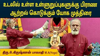 உடலில் உள்ள உள்ளுறுப்புகளுக்கு பிராண ஆற்றல் கொடுக்கும் யோக முத்திரை | Krishnan Balaji | MEGA TV