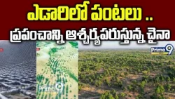 ఎడారిలో పంటలు .. ప్రపంచాన్ని ఆశ్చర్యపరుస్తున్న చైనా | China is growing crops in the desert | Prime9