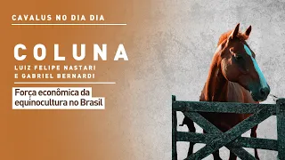 "Horses in Everyday Life": The Economic Power of the Equine Industry in Brazil