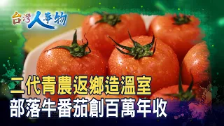 From Farm to Table: "Greenhouse Beef Tomatoes" | Red Treasure Beef Tomatoes | [Taiwan People and ...
