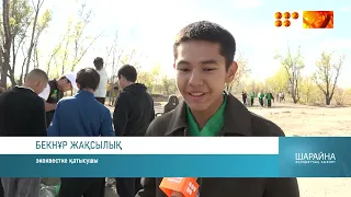 Абайдағы экологиялық квест