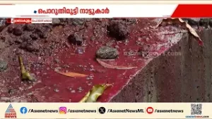 'കോഴീടേം താറാവിന്റേം മൊട്ട വരെ ചൊമന്ന് വരും'; പുന്നക്കൽക്കാരുടെ ദുരിത ജീവിതം