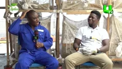 AYEKOO: HOW BLACK SOLDIER FLY FARMING CAN TRANSFORM GHANA’S AGRICULTURE – WIGGLING GOLD FARM