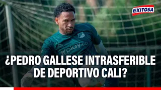 🔴🔵 Is Pedro Gallese untransferable?: Alianza Lima showed interest in the Deportivo Cali goalkeeper