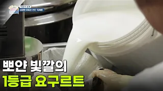 [직업의 세계] 땀방울의 결실, 뽀얀 빛깔의 1등급 요구르트 [생방송 굿모닝 대한민국] | KBS 260730 방송