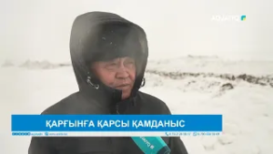 ҚАРҒЫНҒА ҚАРСЫ ҚАМДАНЫС