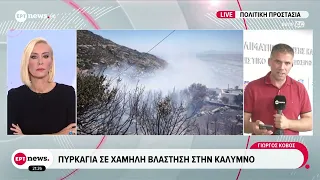 4 συλλήψεις σε Αττική και Μεσσηνία για εμπρησμούς