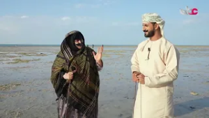 في جزيرة مصيرة، ومع بدايات ومنتصف الشهر الهجري، ينحسر البحر فيما يُعرف بـ«العِيْنَة»