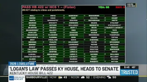 Logan’s Law passes House, heads to Senate