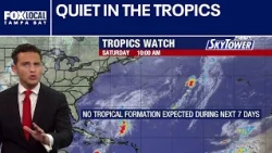 Quiet in the tropics